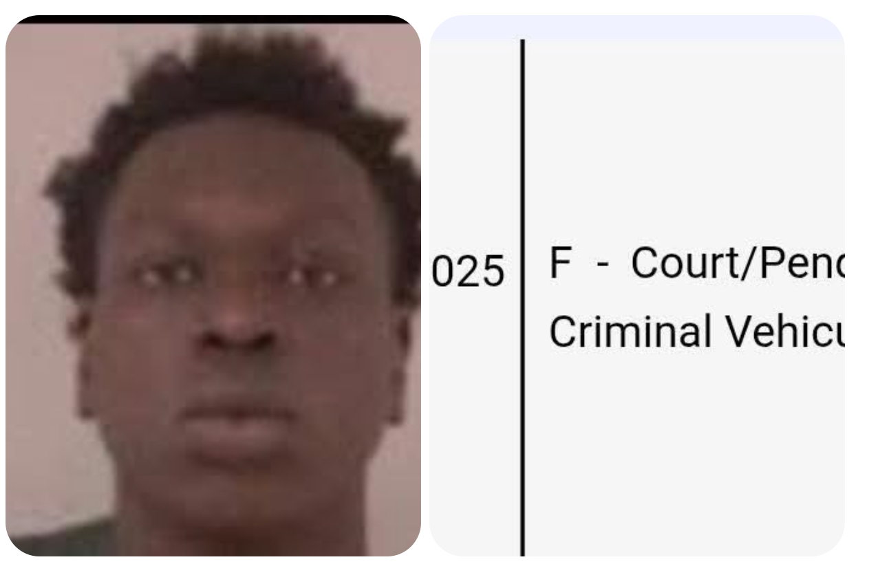 Chaska Woman Kala Karlene Henry Killed After High-Speed Rear-End Crash on Highway 169 in Shakopee